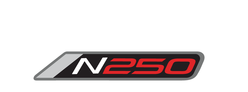 Logo PULSAR N 250