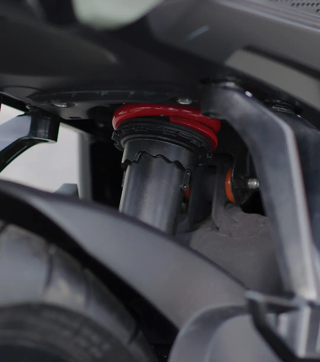 Una Mirada que Domina la Noche